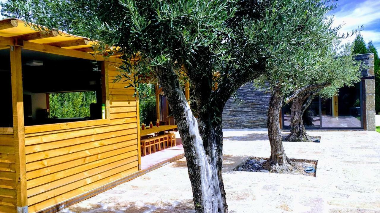Casa Do Prado Guesthouse Vila Real Kültér fotó